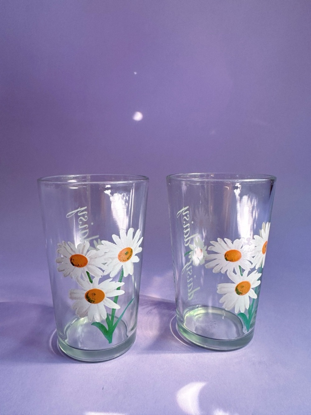 Sweet Pair of Daisy Floral Juice Glass Tumblers